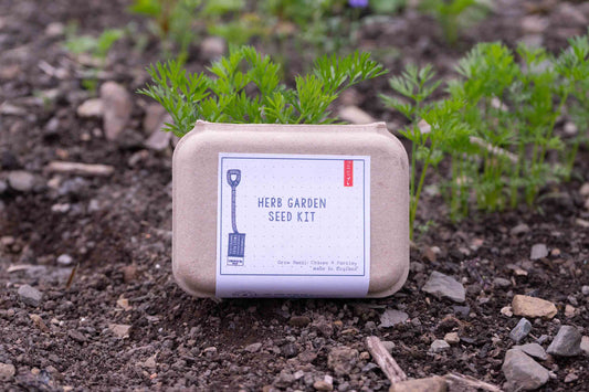 Herb Garden Seed Kit | Grow | Attract | Gardening