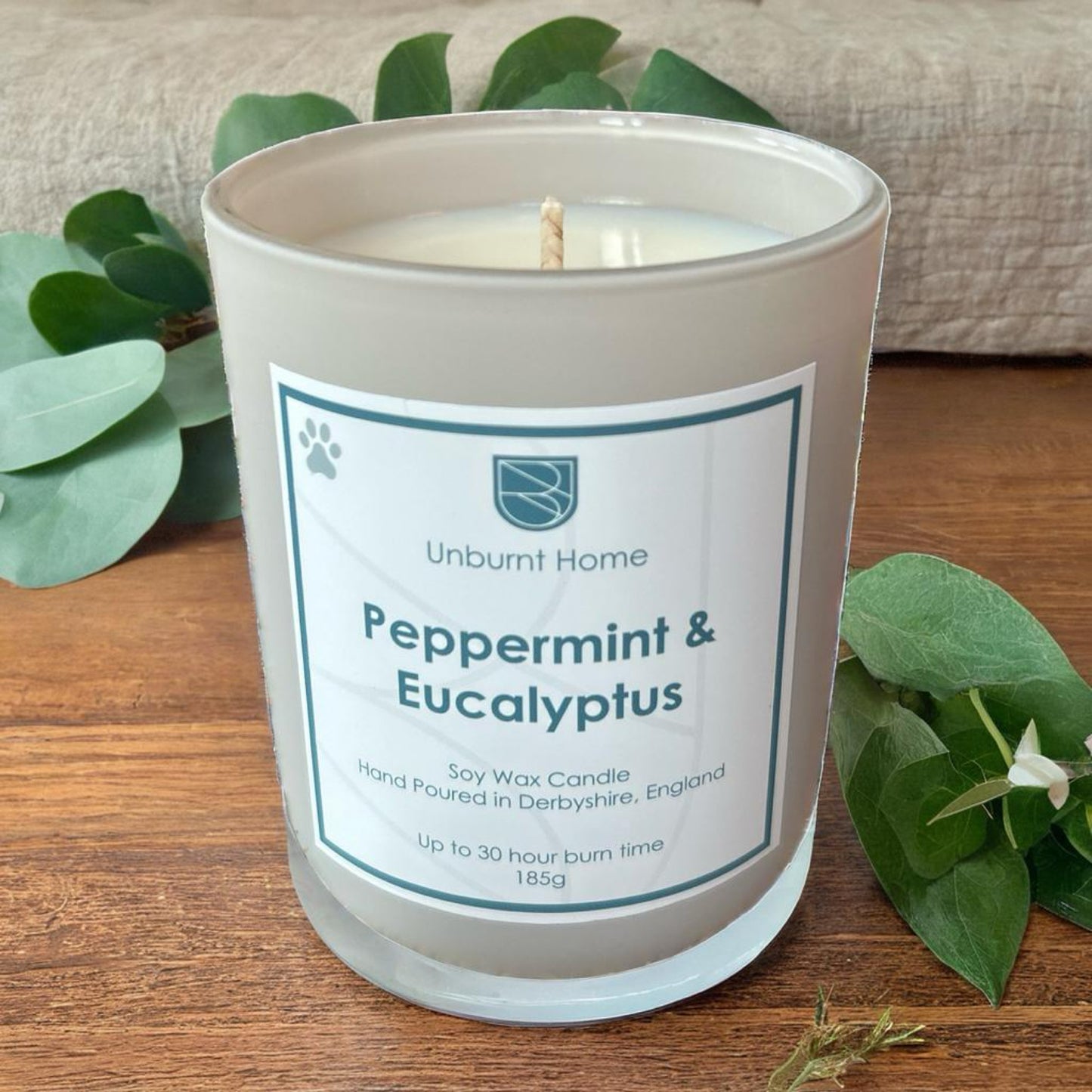 Pet Odour Candle on wood surface with leaves in the background